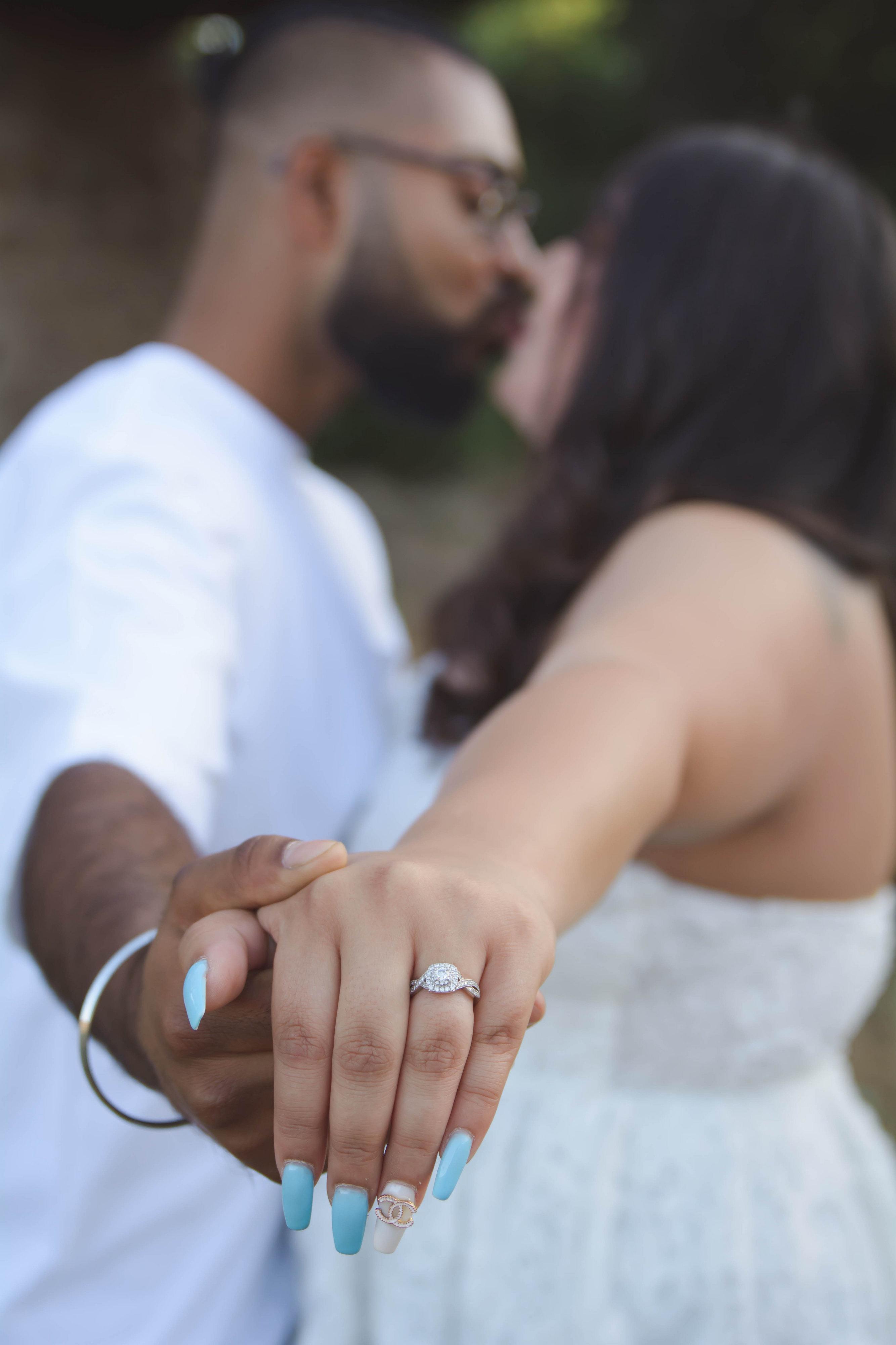 The Wedding Website of Aakash Kumar and Alaina Robles