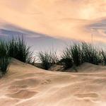 Jockey's Ridge State Park