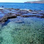 Hulopoe Bay Beach and Marine Reserve