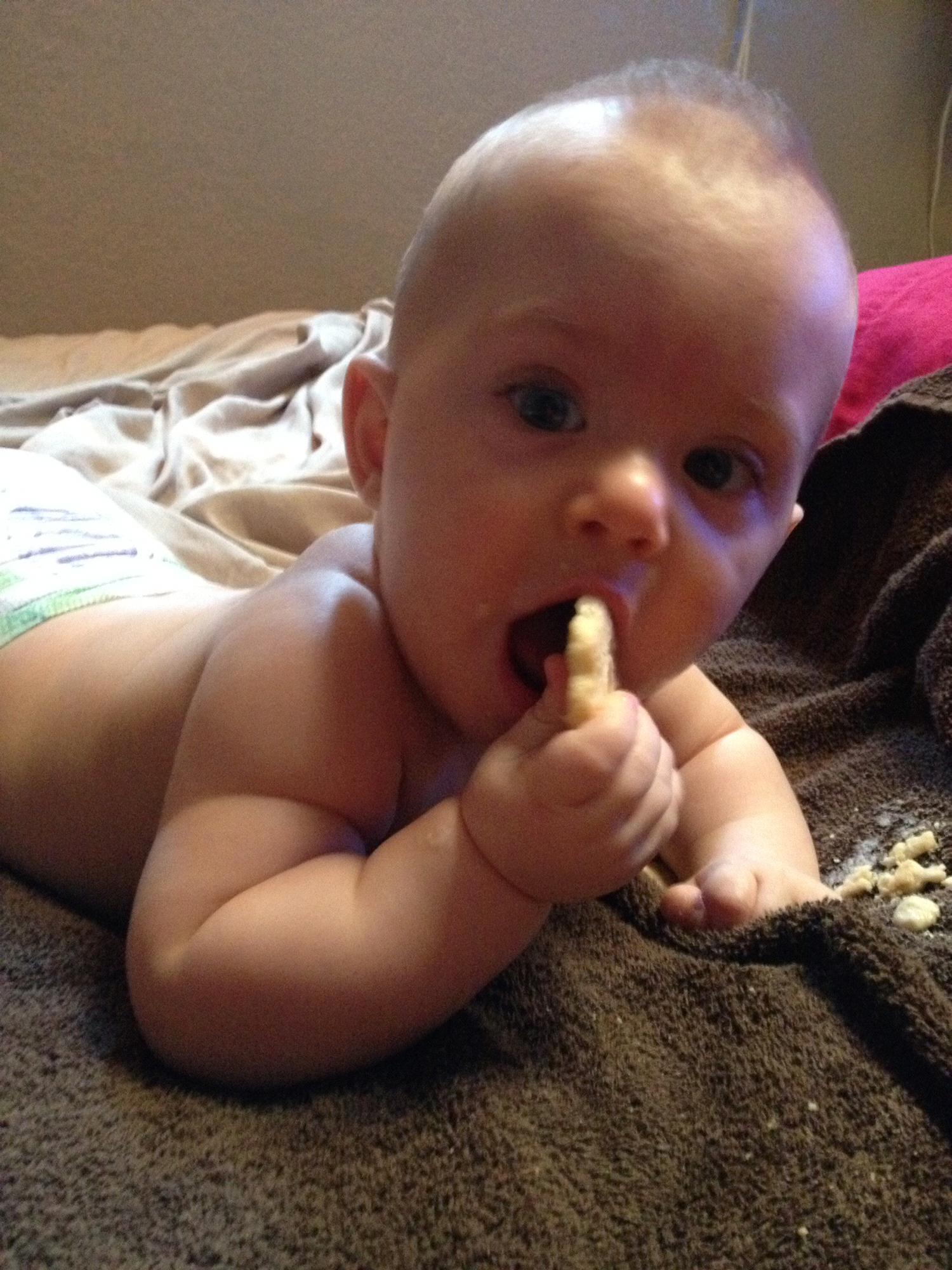 The first time we gave Ember cookies! Man the mess he made all over Matt’s Bed and Kitchen sink 😂