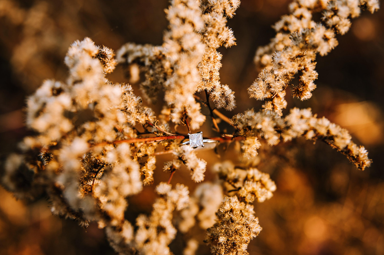 The Wedding Website of Ryan Hickey and Nicki Elledge