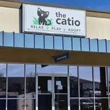 The Catio Cat Lounge
