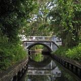 Winter Park Scenic Boat Tour