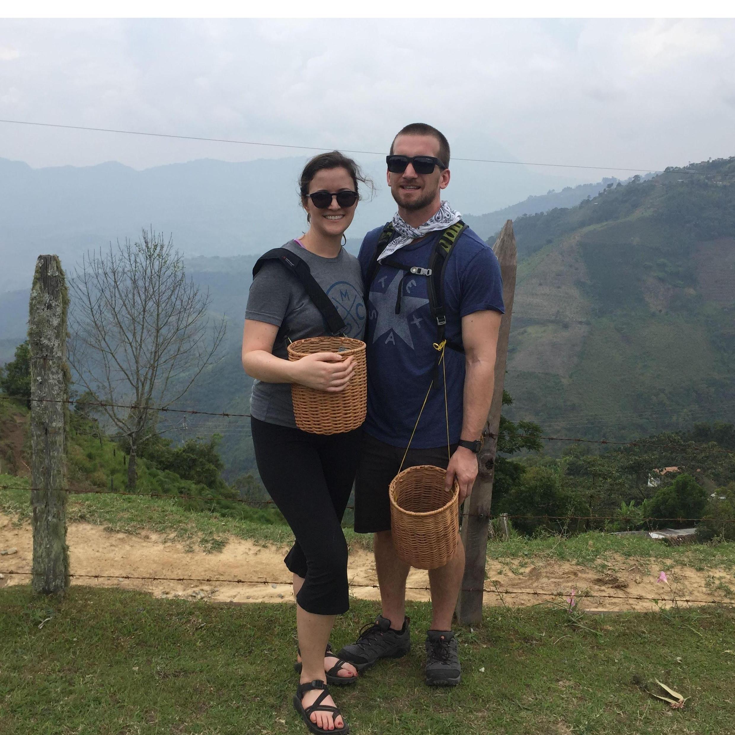 Picking coffee beans near Medellin, Colombia