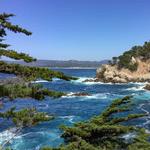 Point Lobos State Natural Reserve