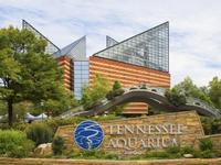 Tennessee Aquarium Ticketing