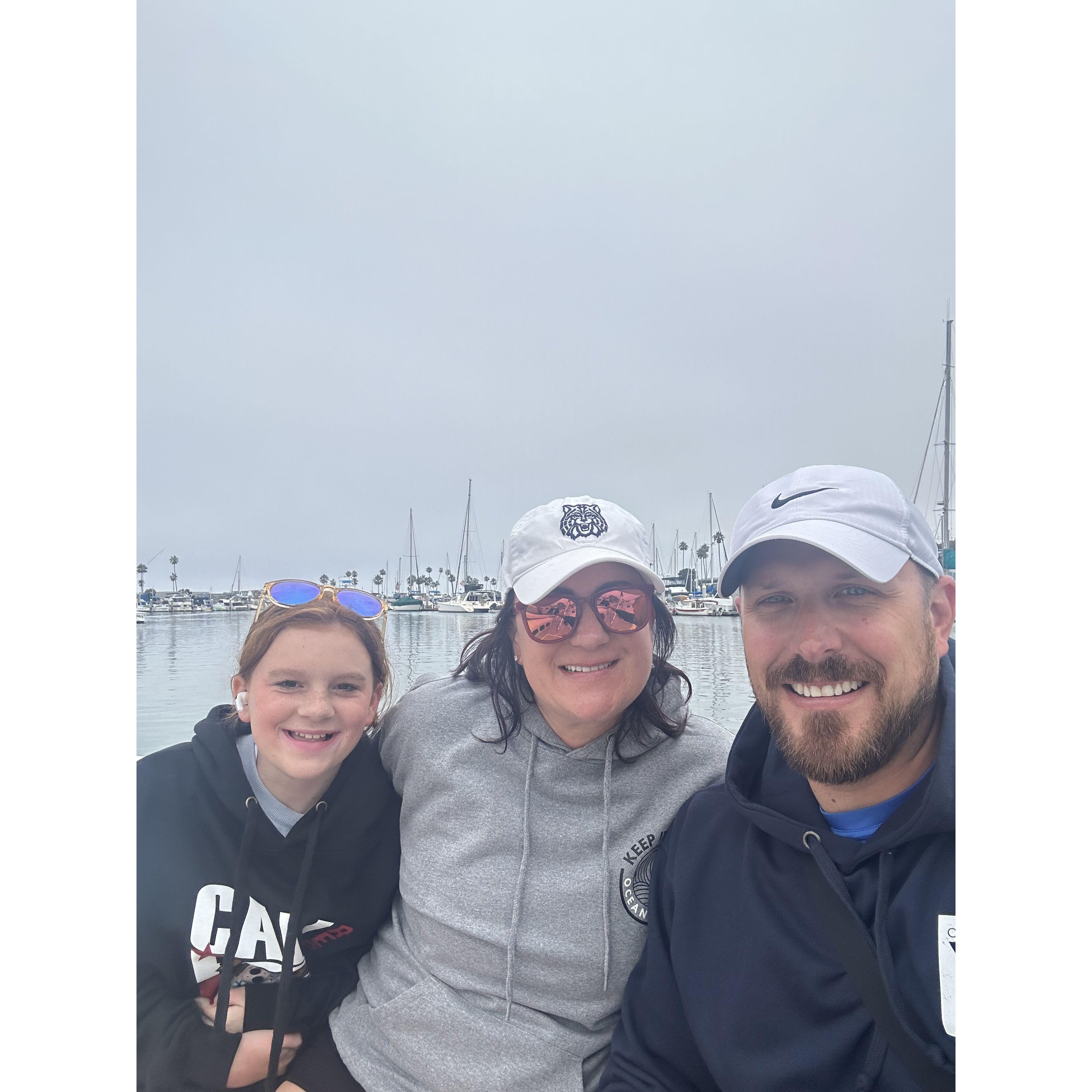 Dolphin watching in San Diego