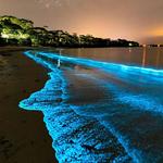 Glistening Waters Restaurant and Marina