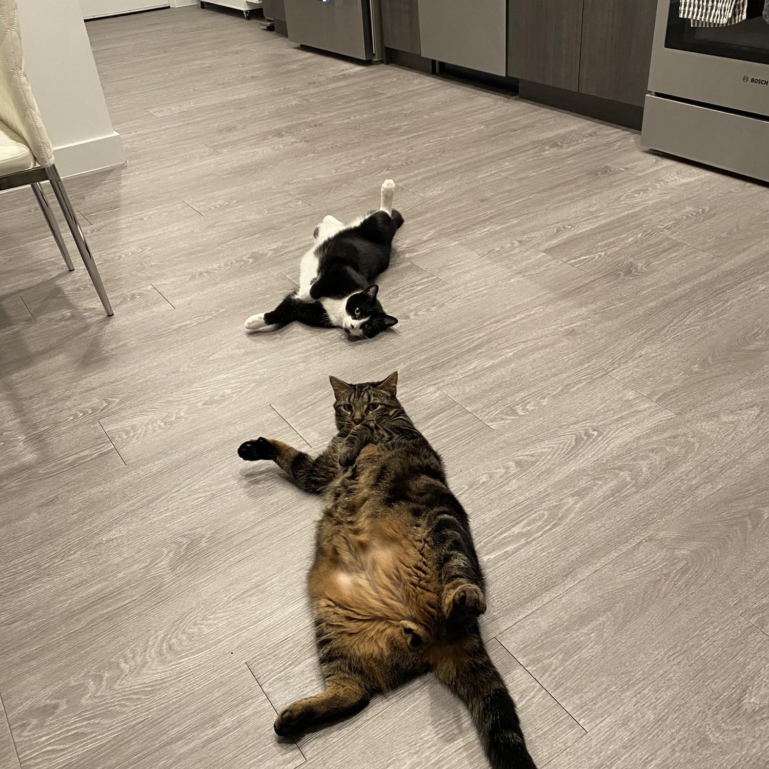 Ozzie & Stoffee