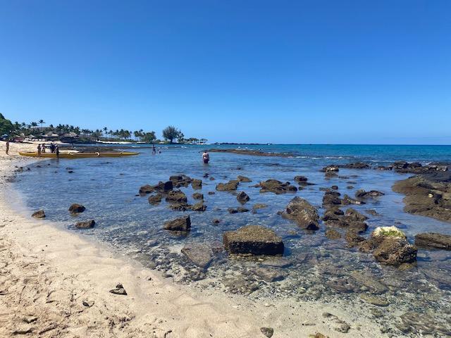 The Wedding Website of Alexandra Perez Urbina and David Dean Long