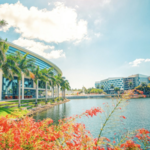 University of Miami