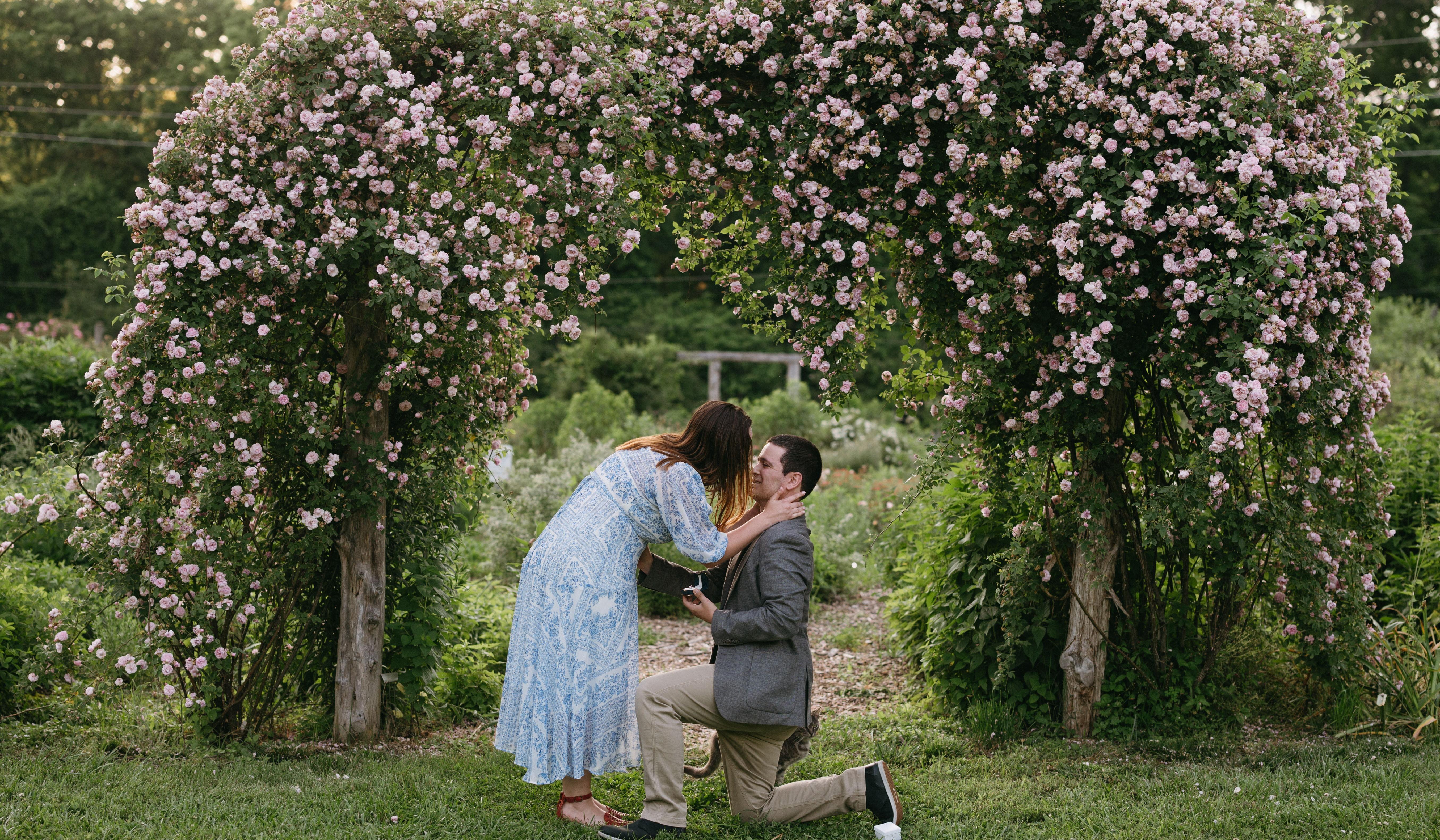 Hero Slideshow Image 1