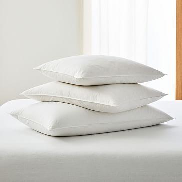 Down Alternative Pillow Insert (Set of 2)