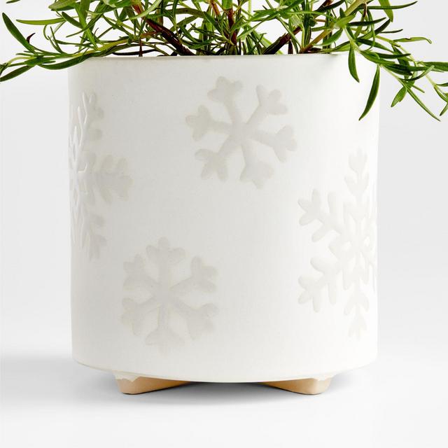 Snowflake White Planter