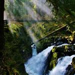Hoh Rain Forest Visitor Center