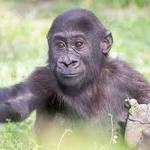 Cleveland Metroparks Zoo