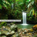 El Yunque