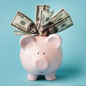 Investment/Savings Fund