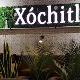 Xochitl Cocina & Tequila