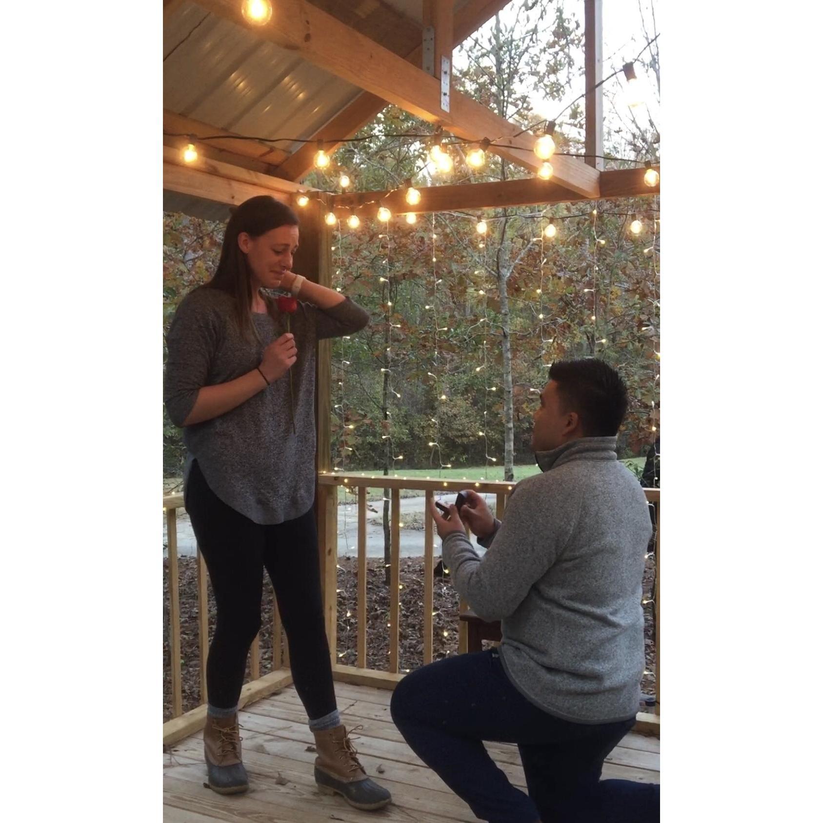 The Proposal