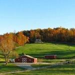 Parker-Binns Vineyard