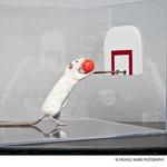 Science Museum of Virginia