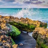 A Beach Day in Jupiter