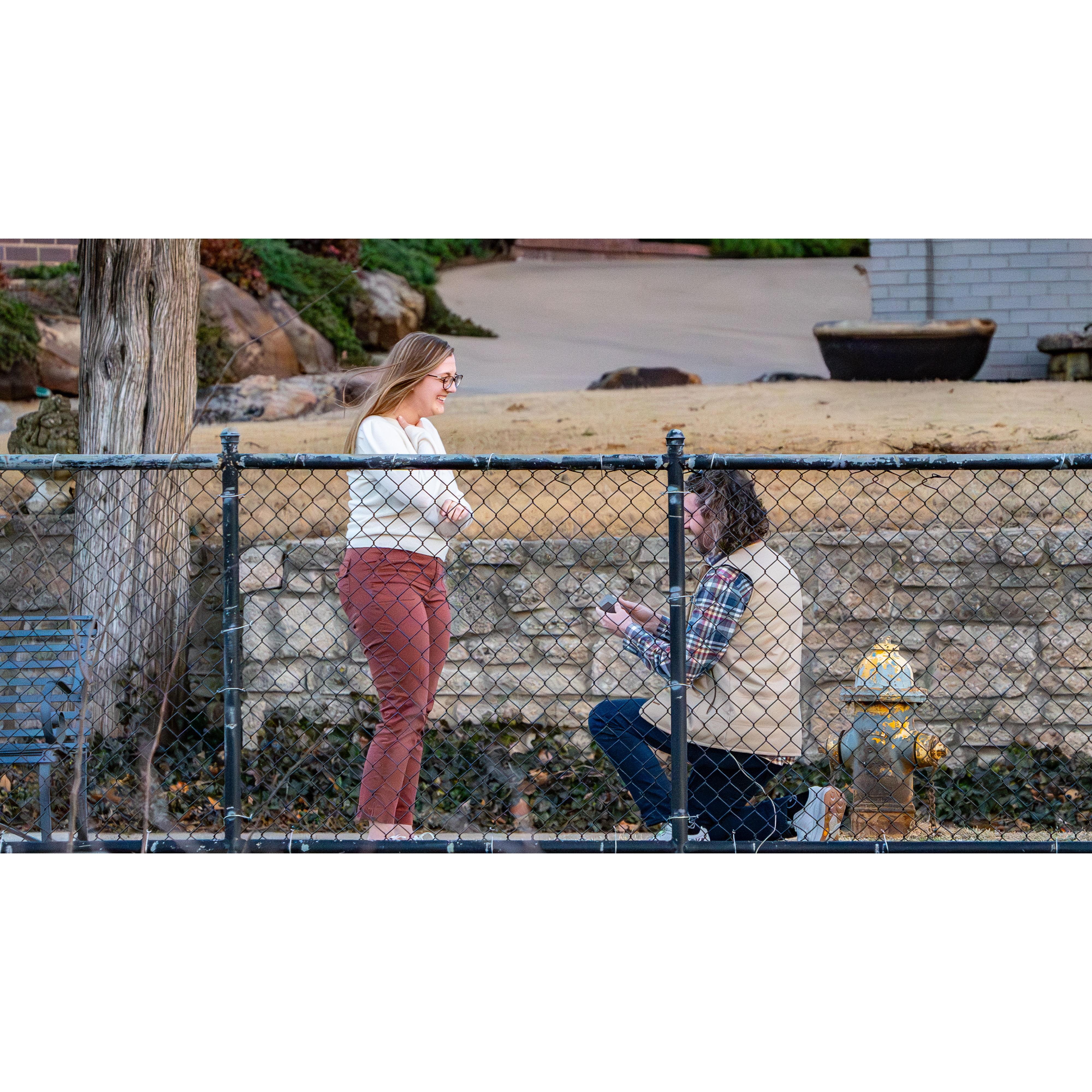 At the end, there was the key phrase, "The moon crossed the foxes path", a silly phrase Aaron would use when Emilee gently asked when a proposal was coming.