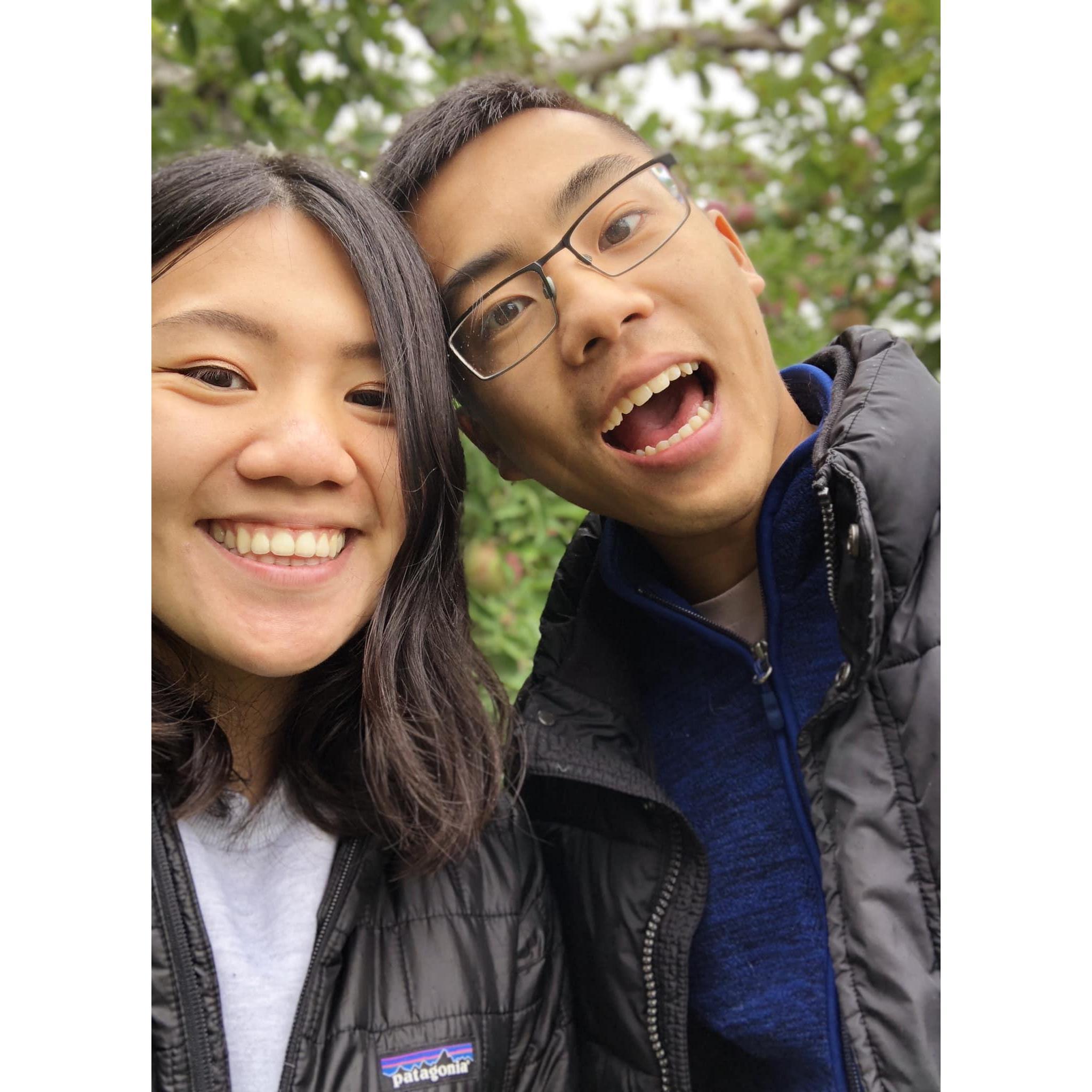 apple picking!