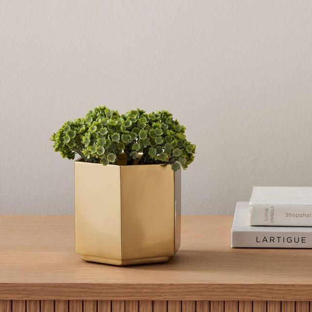 Hexagon Tabletop Planter, 4.6"D x 4.25"H, Antique Brass