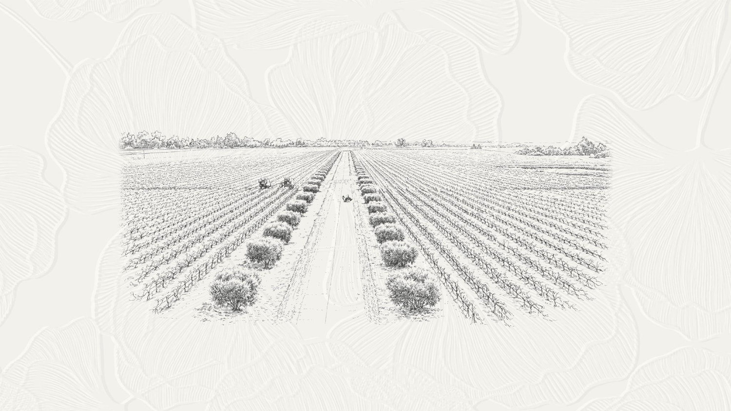 The Wedding Website of John Paul Valverde and Adriana Perez