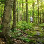 Grafton Trails & Outdoor Center