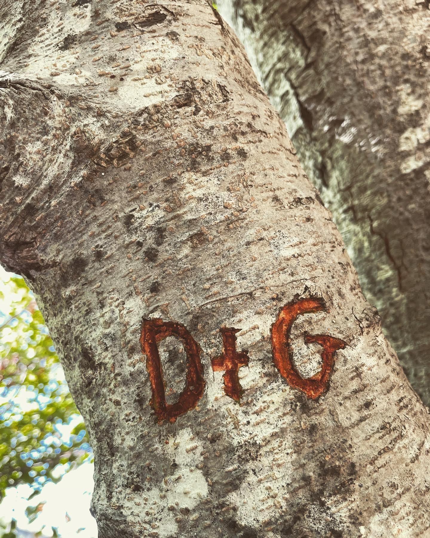 The Wedding Website of Gavin Sellers and Daniel Norman