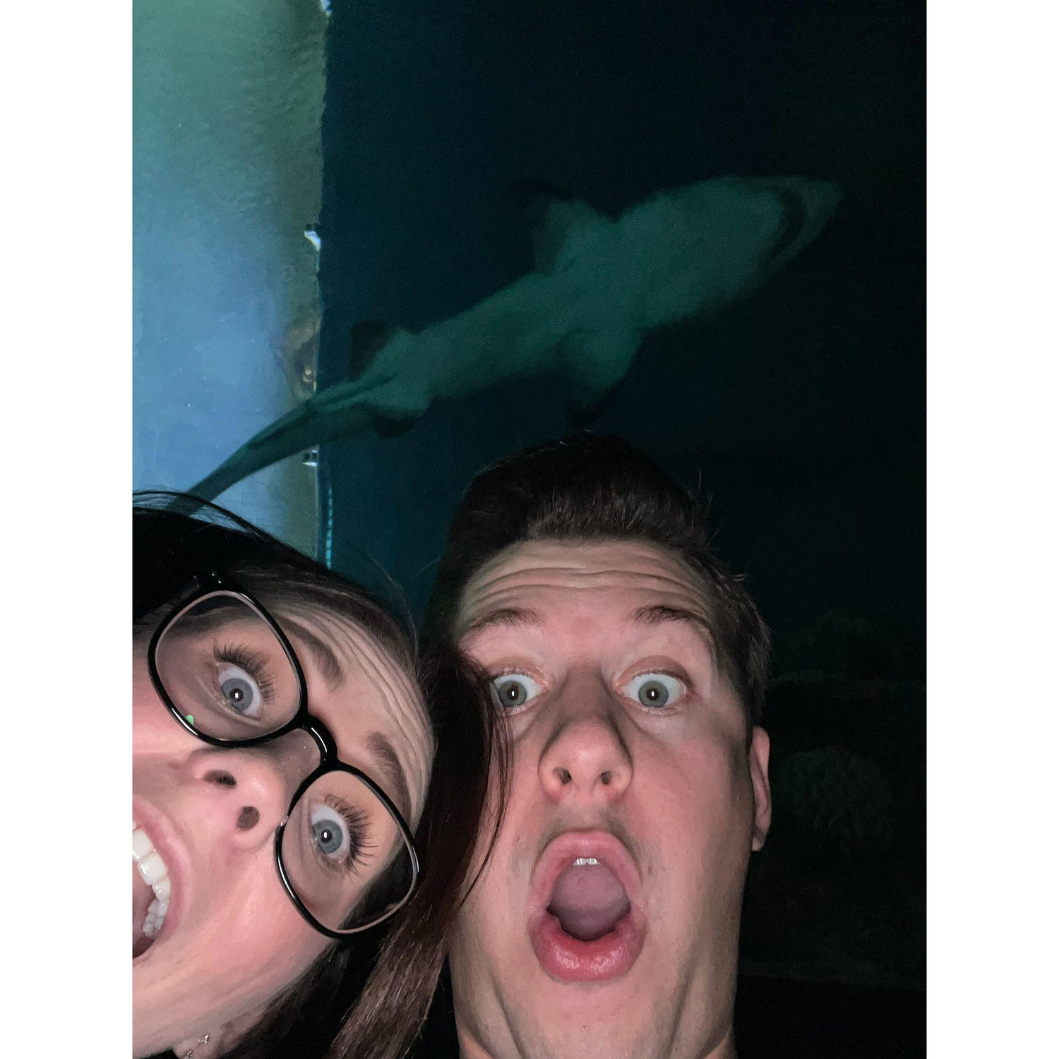 Spent our anniversary at the Shark Reef in Las Vegas
