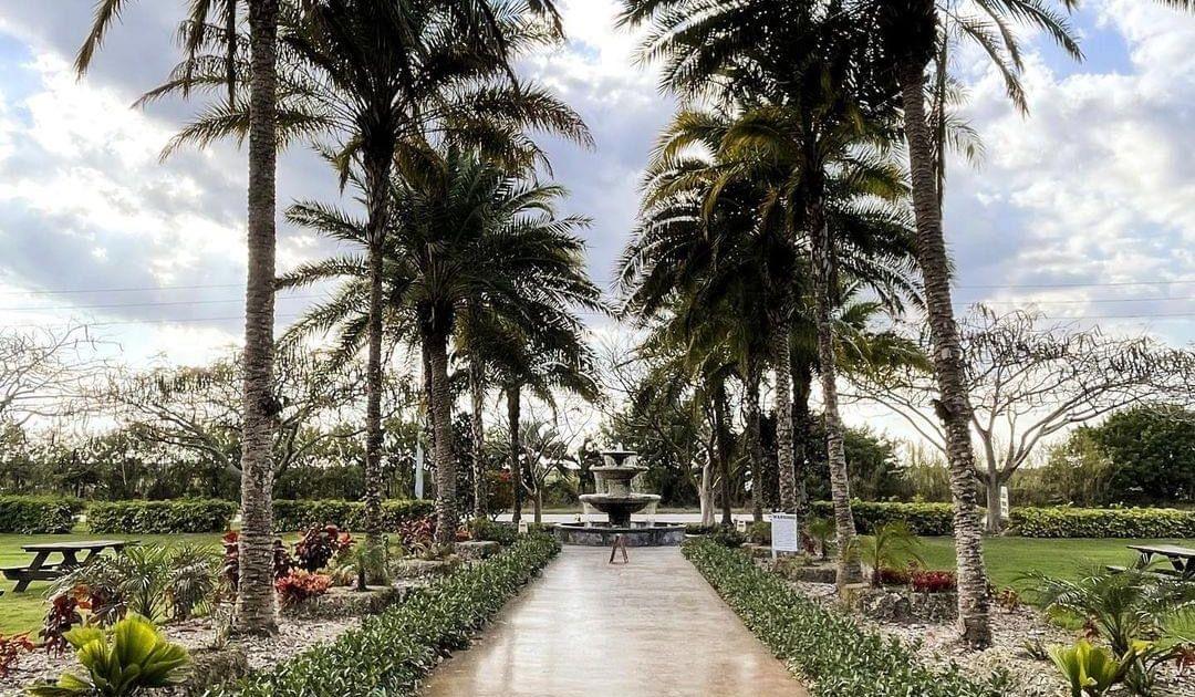 Hero Slideshow Image 3