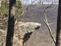 Whitaker Point Trailhead