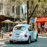 Roma & Condesa