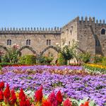 Wander Around the Santa Barbara Garden