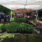 Spa City Farmers Market