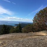 Hike Mt Young