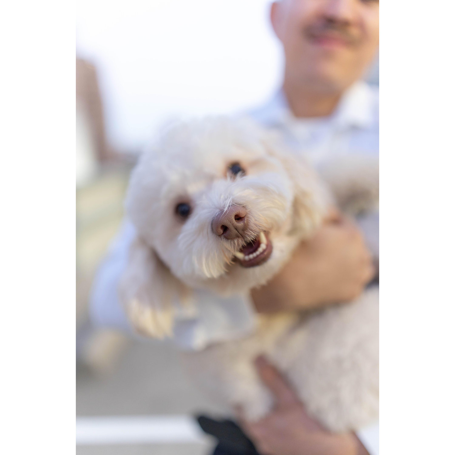 Mi angelito Leo