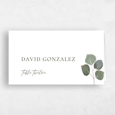 White Boho Wedding Place Card - Bransford