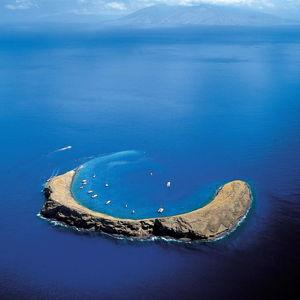 Snorkeling in Maui