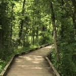 Conestee Park