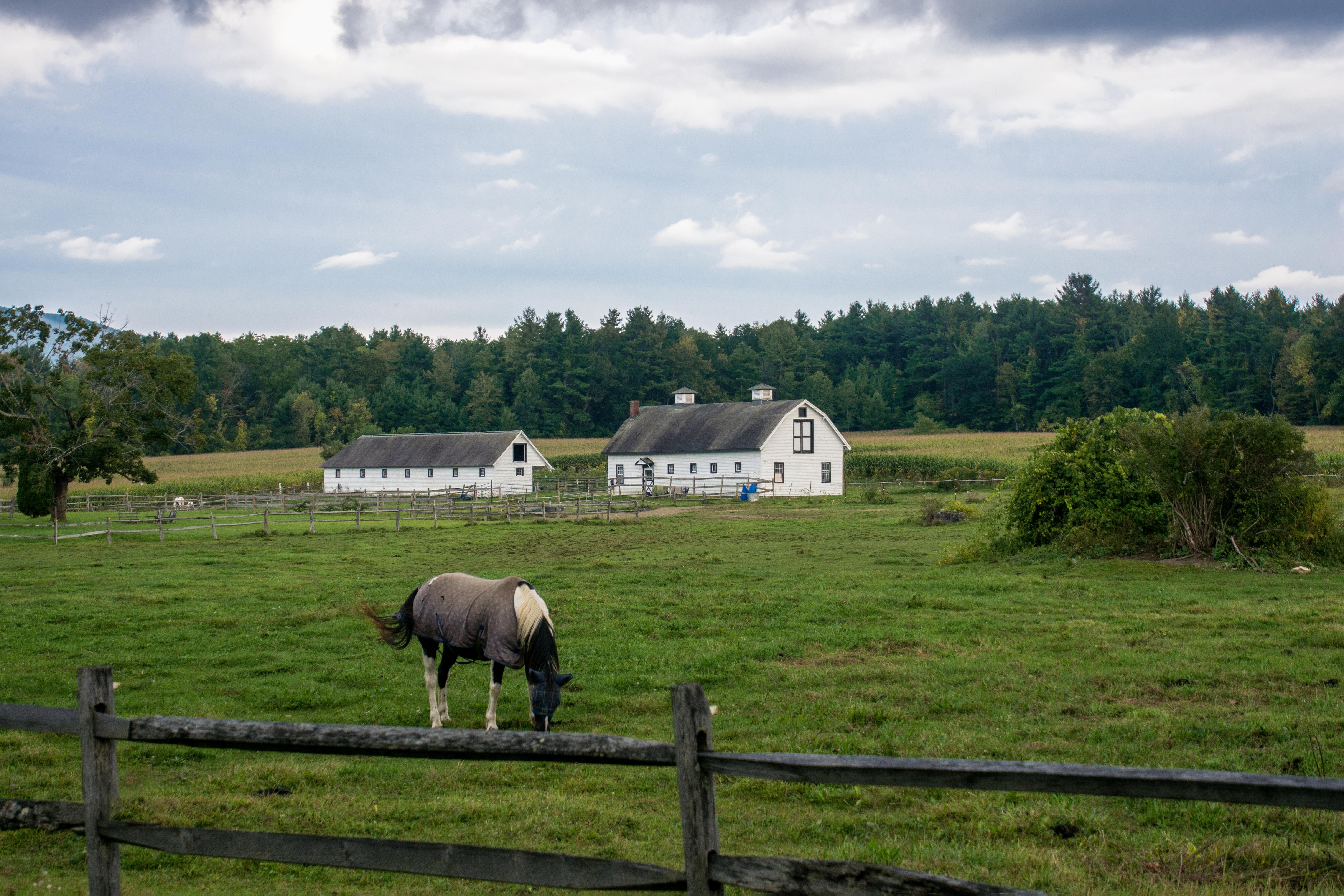 The Wedding Website of Melissa Benjamin and Drew Walton