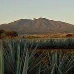 Tequila Volcano