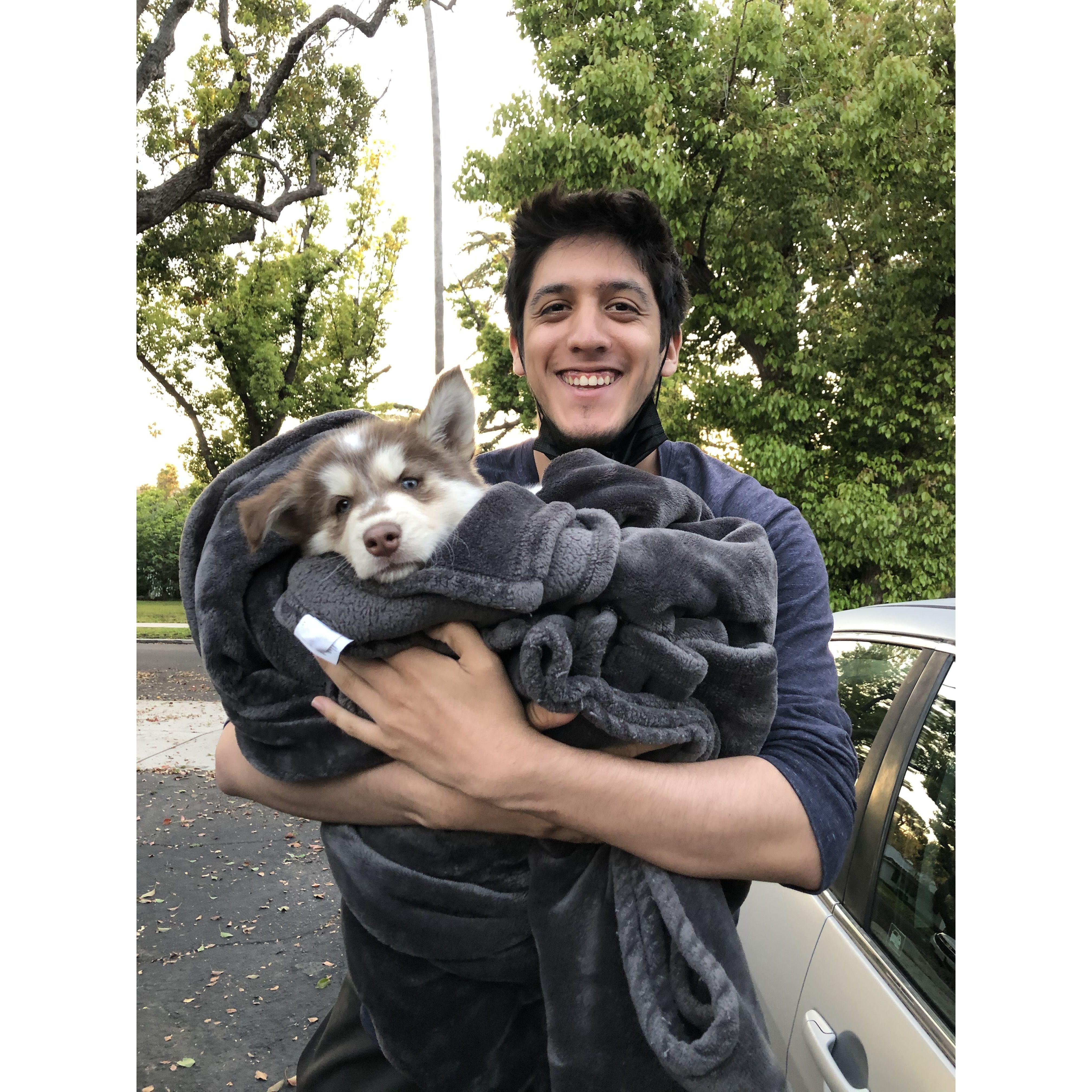 The day we adopted Kenobi!