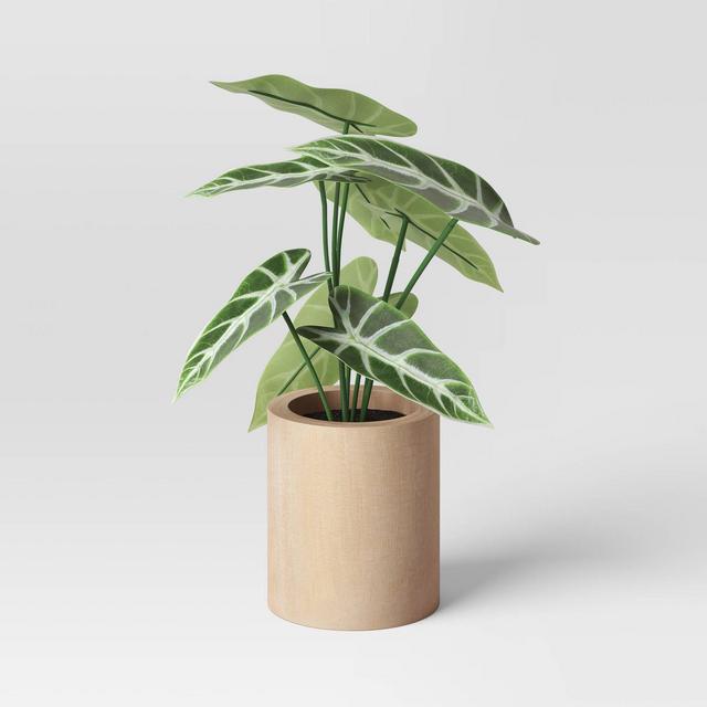 Dasheen Leaf Wood Potted - Threshold™
