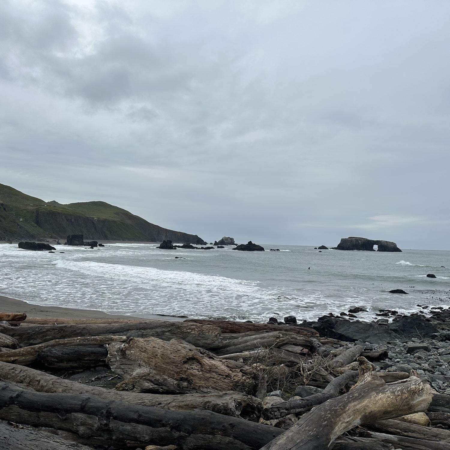 Goat rock beach