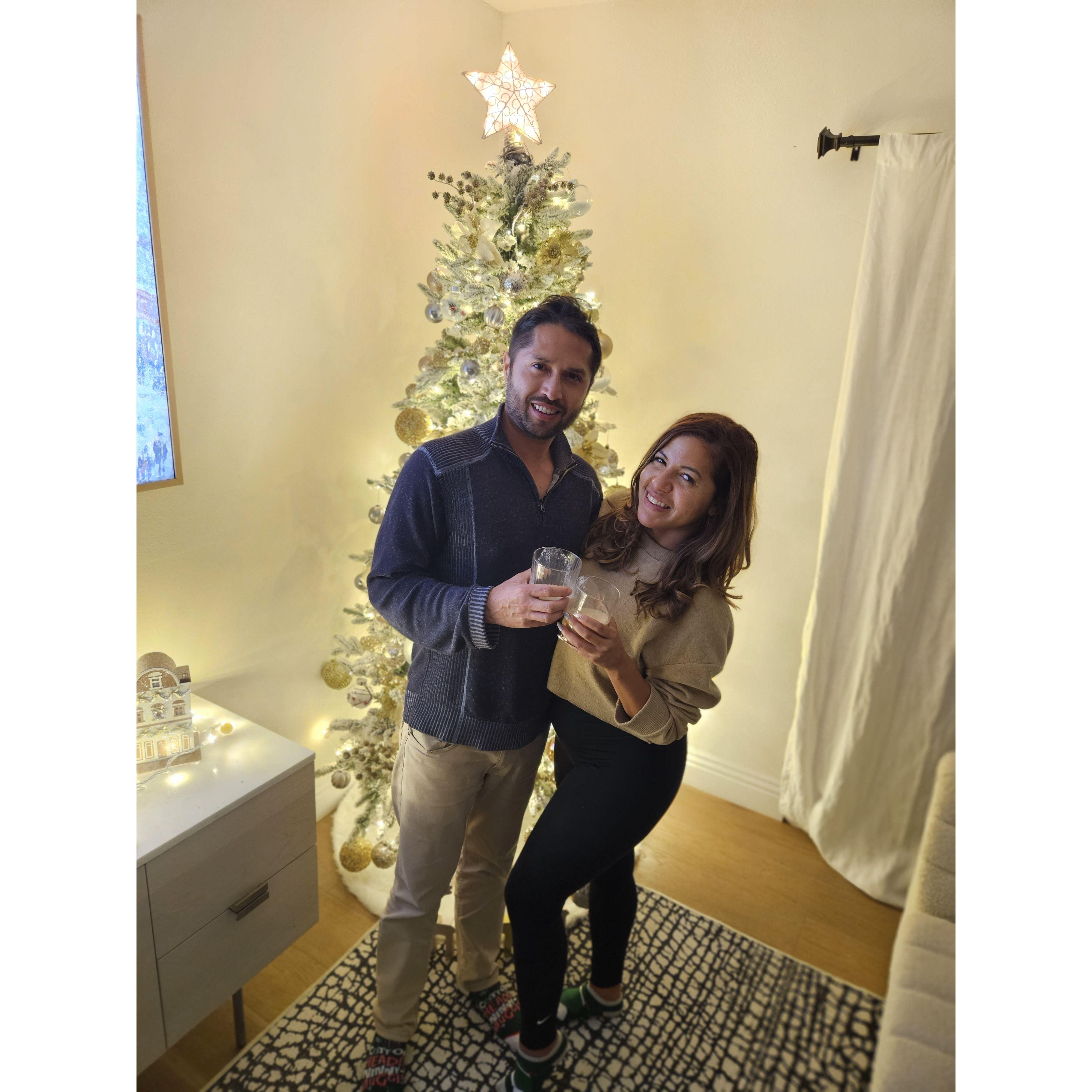 We put up our own tree and kept it lit until February. / Pusimos nuestro propio árbol y lo mantuvimos encendido hasta febrero.